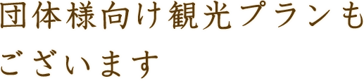 団体様向け観光プランもございます