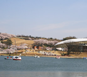 鞍ヶ池公園