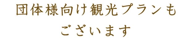 団体様向け観光プランもございます