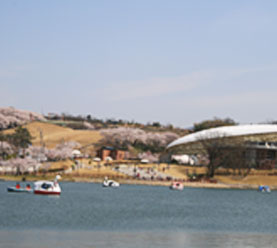 鞍ヶ池公園